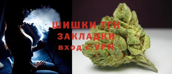 PSILOCYBIN Абаза