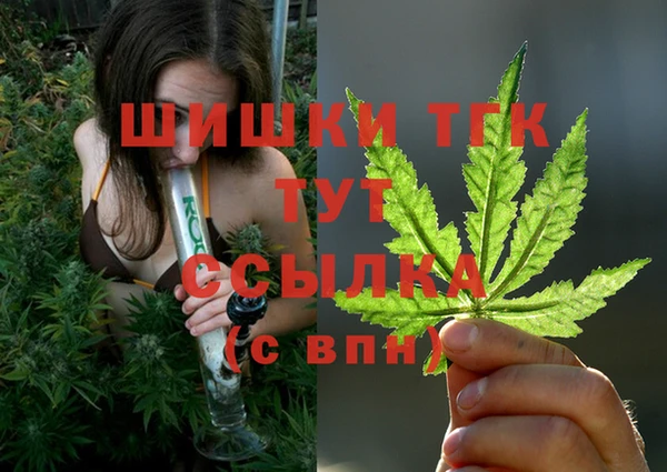 PSILOCYBIN Абаза