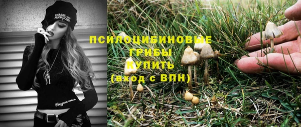 PSILOCYBIN Абаза