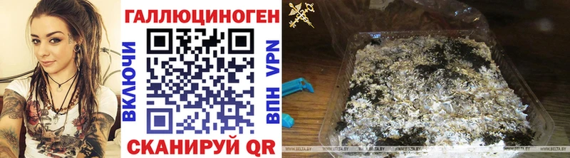 где найти   Скопин  Галлюциногенные грибы мухоморы 