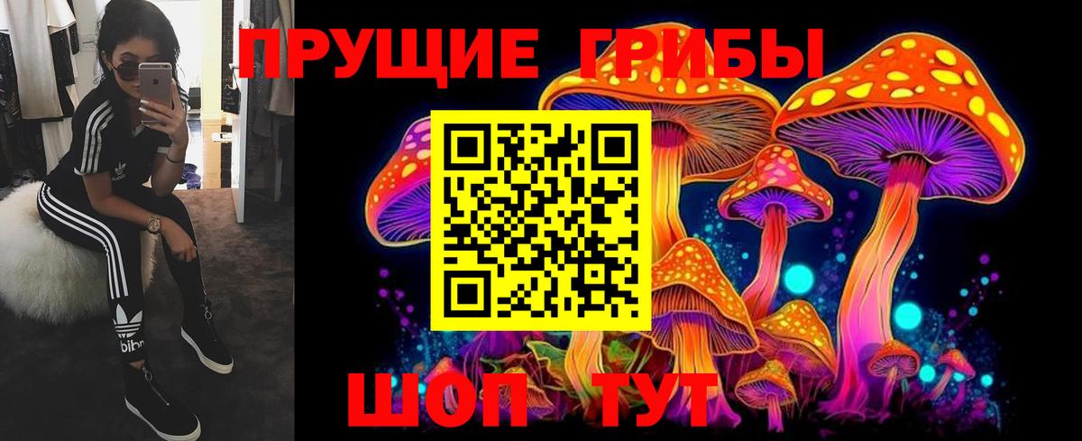 Псилоцибиновые грибы Psilocybine cubensis Скопин